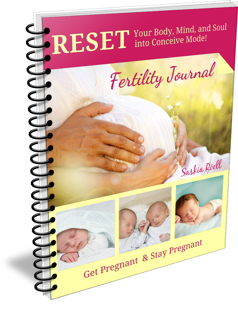 Get Pregnant Now Foundation Program – Get Pregnant Now